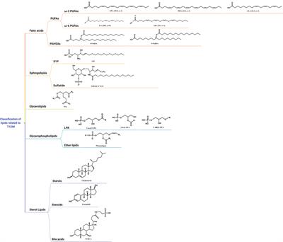 Lipid metabolism in type 1 diabetes mellitus: Pathogenetic and therapeutic implications